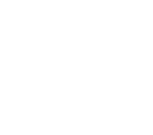 Premium-Chocolate-Chips-Double-Chocolate-Chip-Chipwich